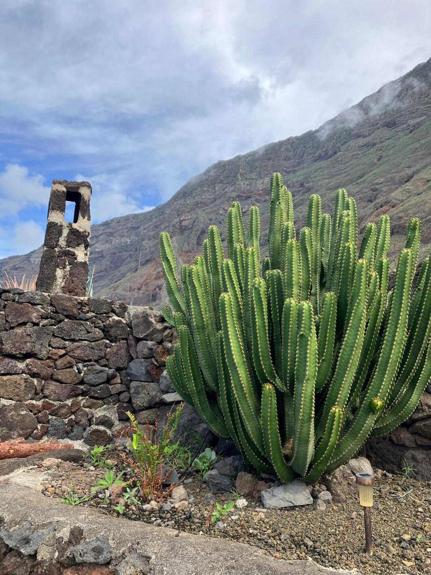 Casa Nela. Rural Y Acogedora En Las Puntas El Hierro Jerez de la Jerez de la Frontera Dış mekan fotoğraf